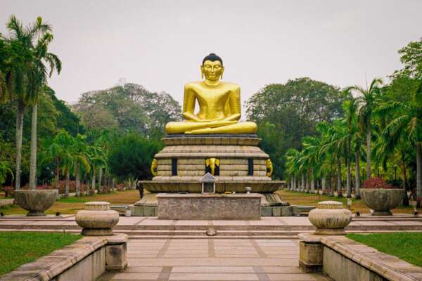 Buddha