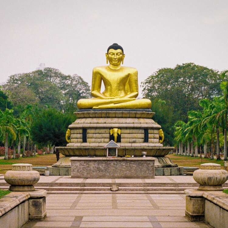 Buddha