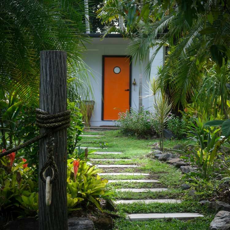 Orange Door