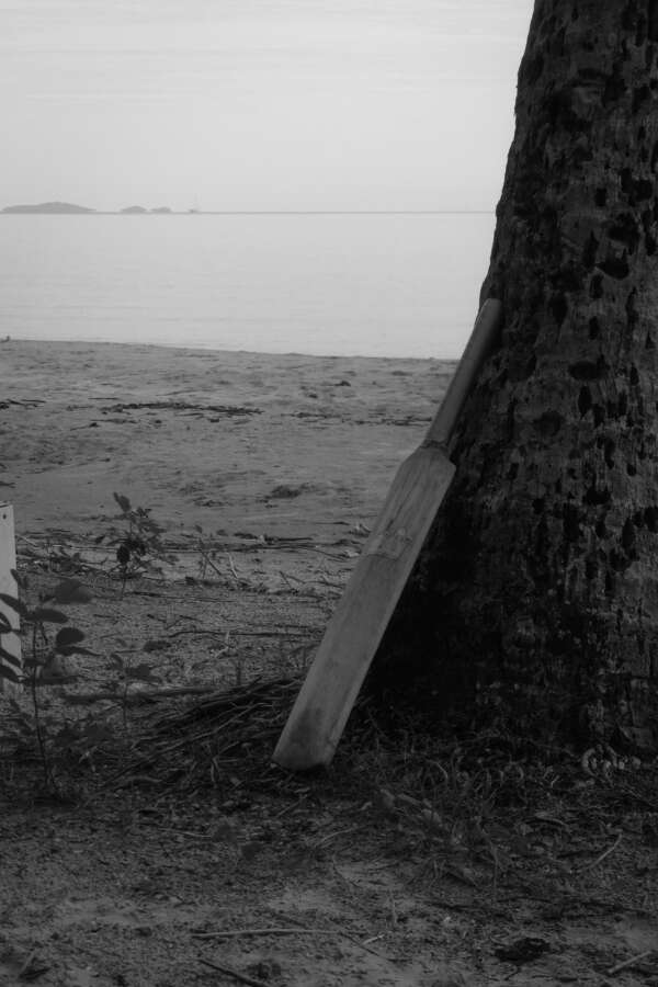 Beach Cricket