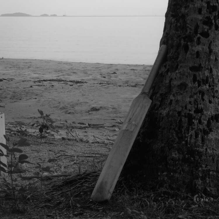 Beach Cricket