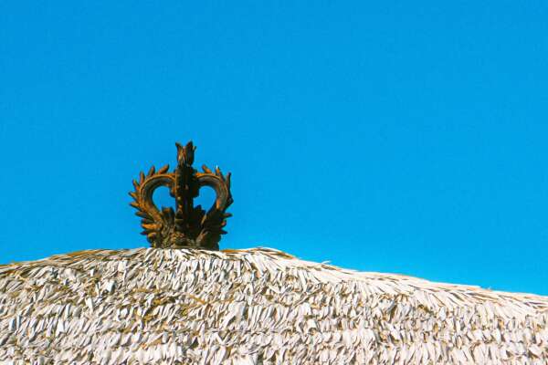 Thatch Roof