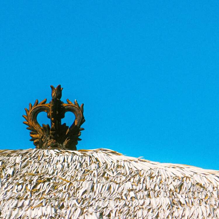 Thatch Roof
