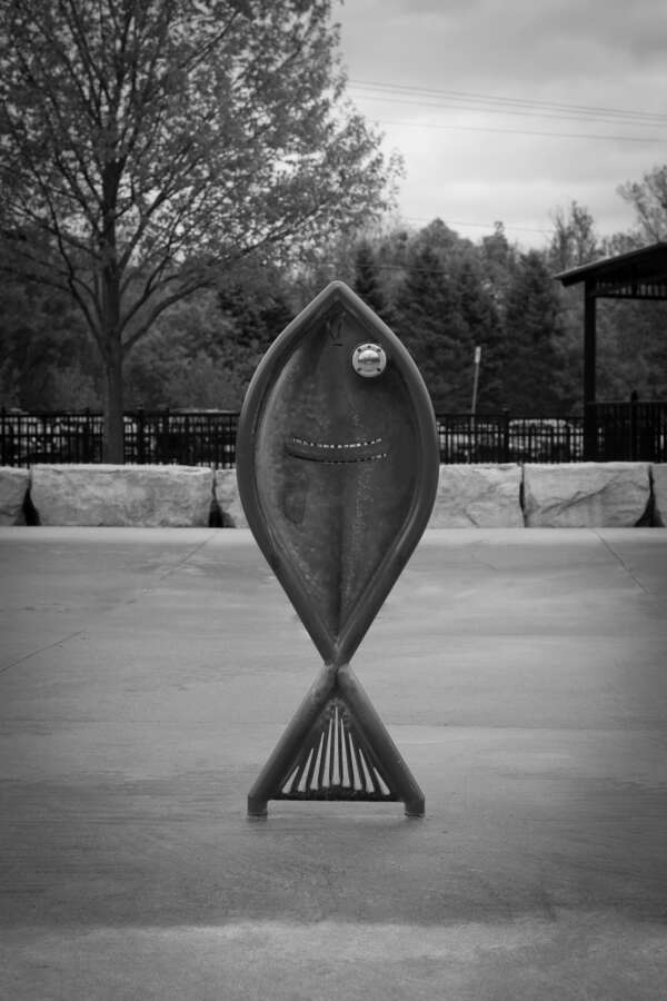 Fish Out of Water