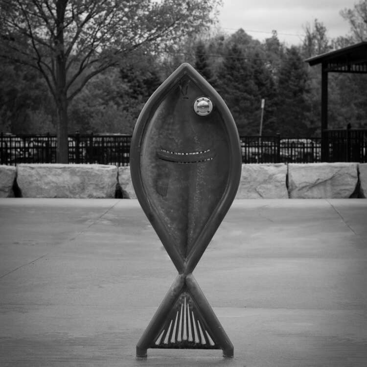 Fish Out of Water