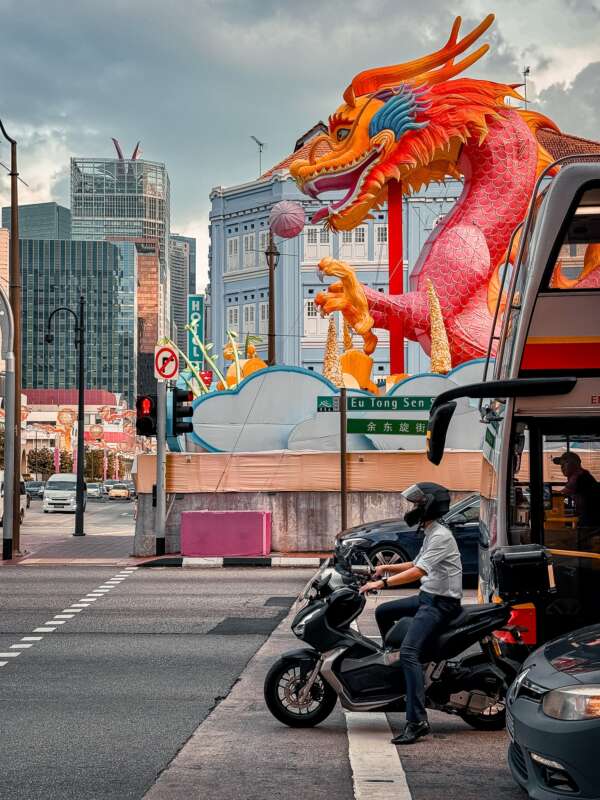 Year of The Dragon