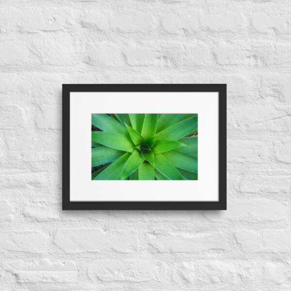 All The Greens - WhySoNegative - Image 3