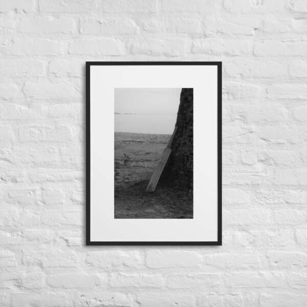 Beach Cricket - WhySoNegative - Image 4