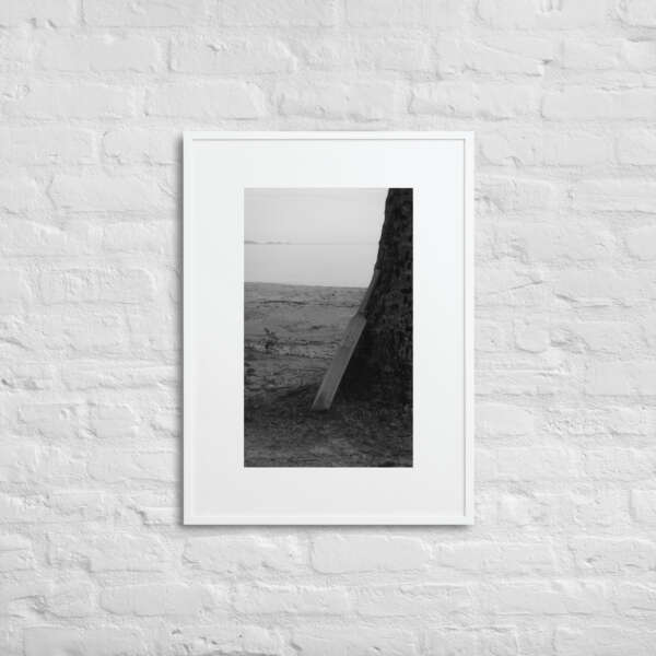 Beach Cricket - WhySoNegative - Image 7