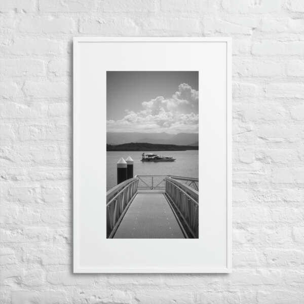 Jetty - WhySoNegative - Image 8