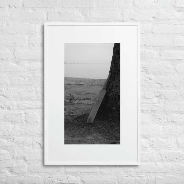 Beach Cricket - WhySoNegative - Image 8
