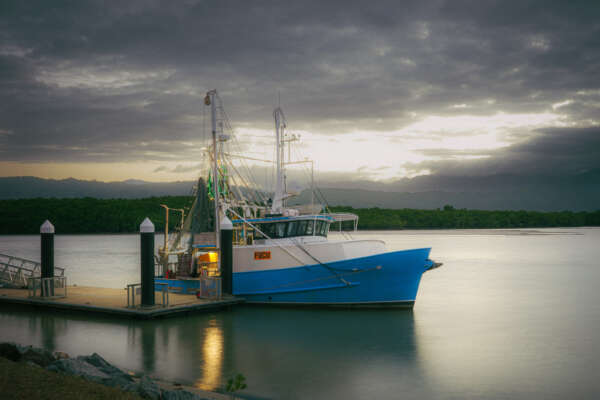 Prawn Trawler