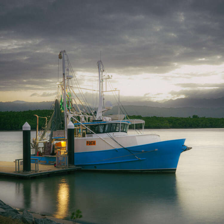 Prawn Trawler