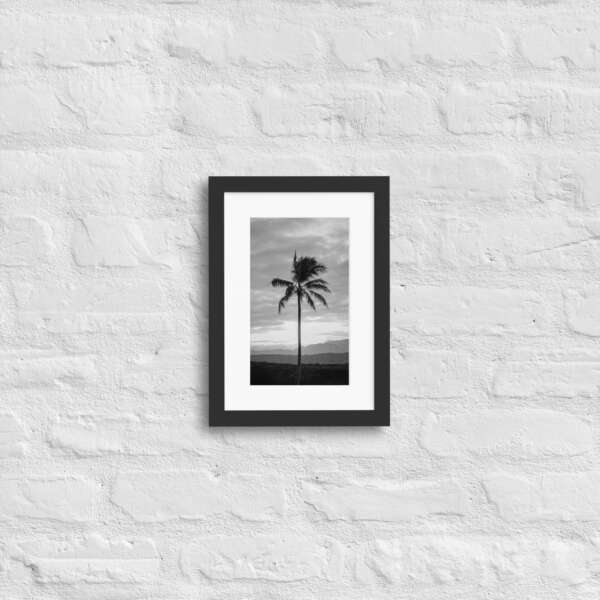 Shadow Palm - WhySoNegative - Image 2