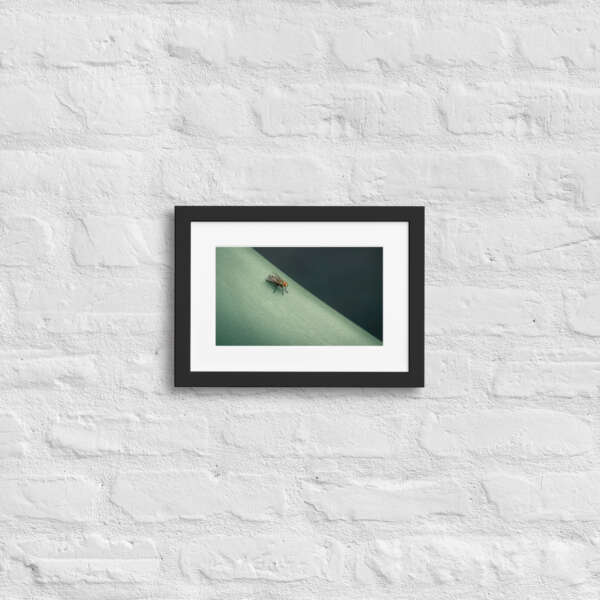 The Fly - WhySoNegative - Image 2