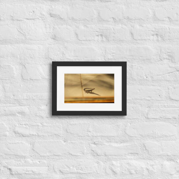 Little Visitor - Image 2
