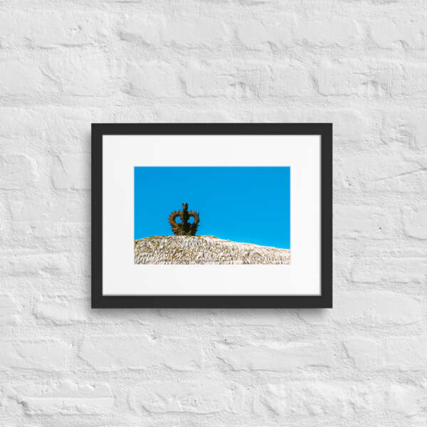 Thatch Roof - WhySoNegative - Image 3
