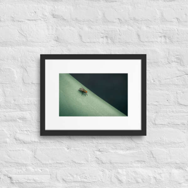 The Fly - WhySoNegative - Image 3