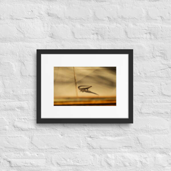 Little Visitor - Image 3
