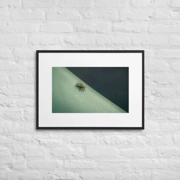 The Fly - WhySoNegative - Image 4