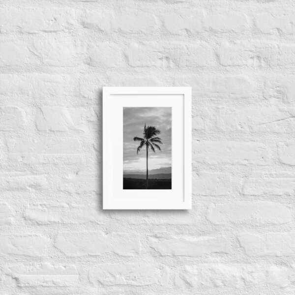 Shadow Palm - WhySoNegative - Image 5