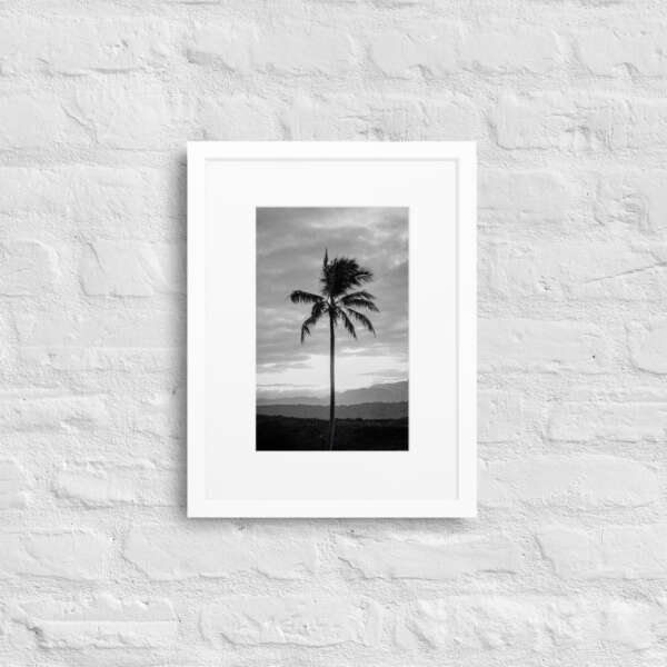Shadow Palm - WhySoNegative - Image 6