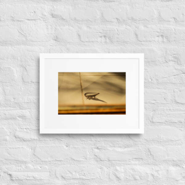 Little Visitor - Image 6