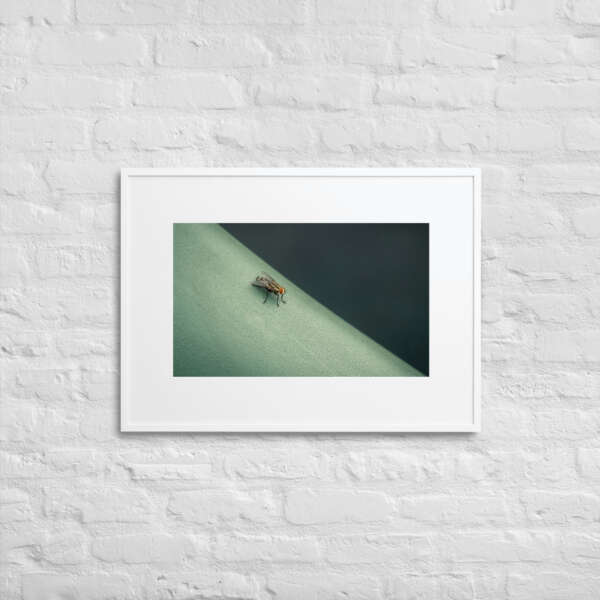 The Fly - WhySoNegative - Image 7