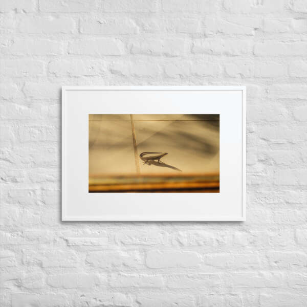 Little Visitor - Image 7