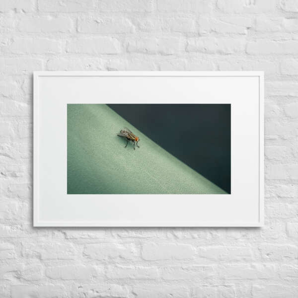The Fly - WhySoNegative - Image 8