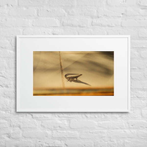 Little Visitor - Image 8