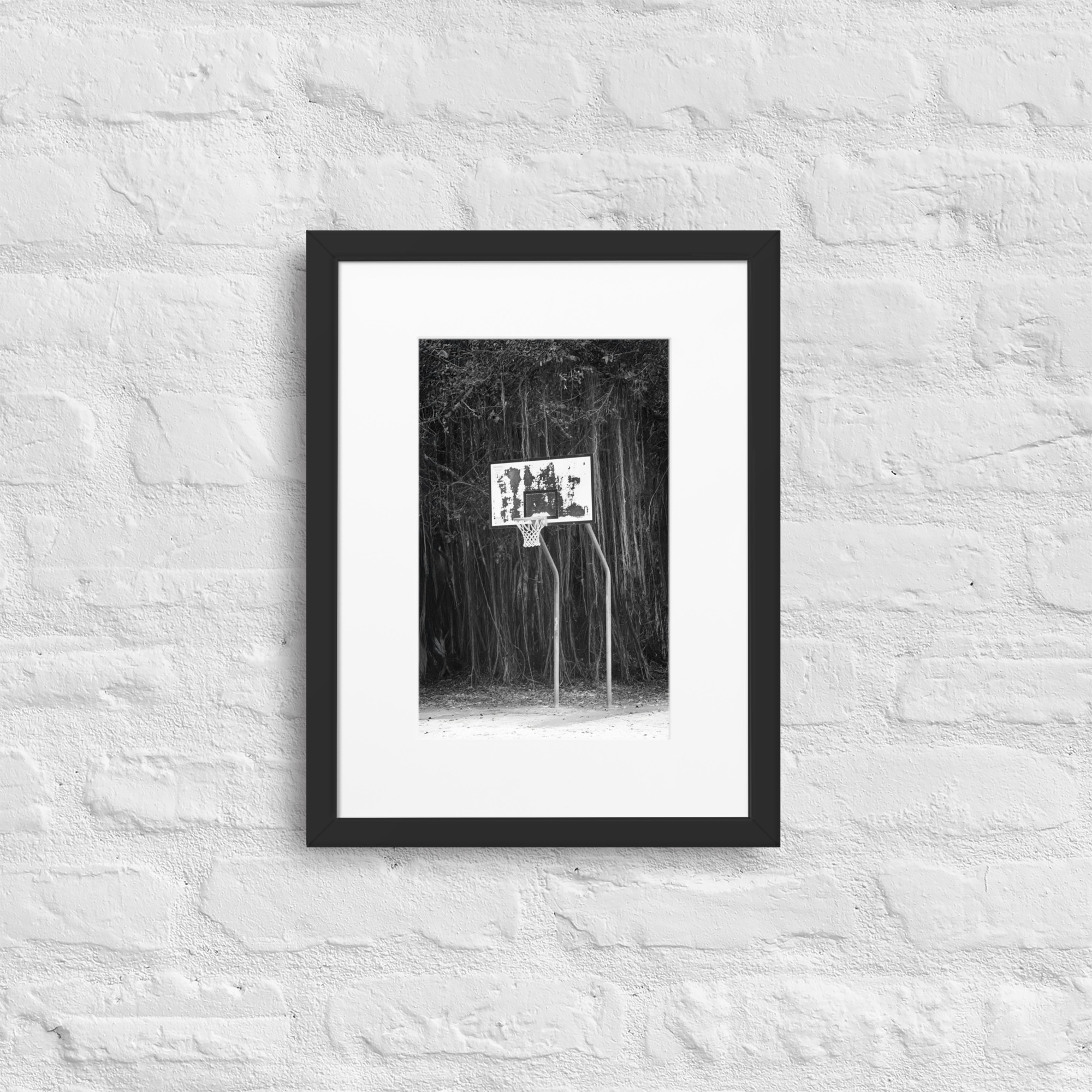 Rainforest Basketball - WhySoNegative - Image 2