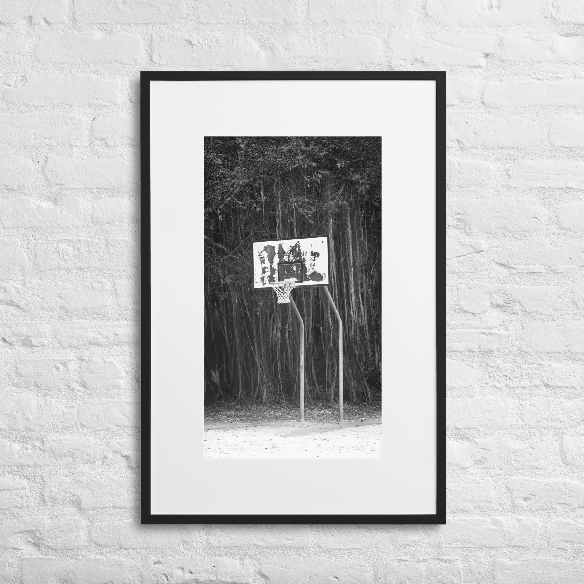 Rainforest Basketball - WhySoNegative - Image 4