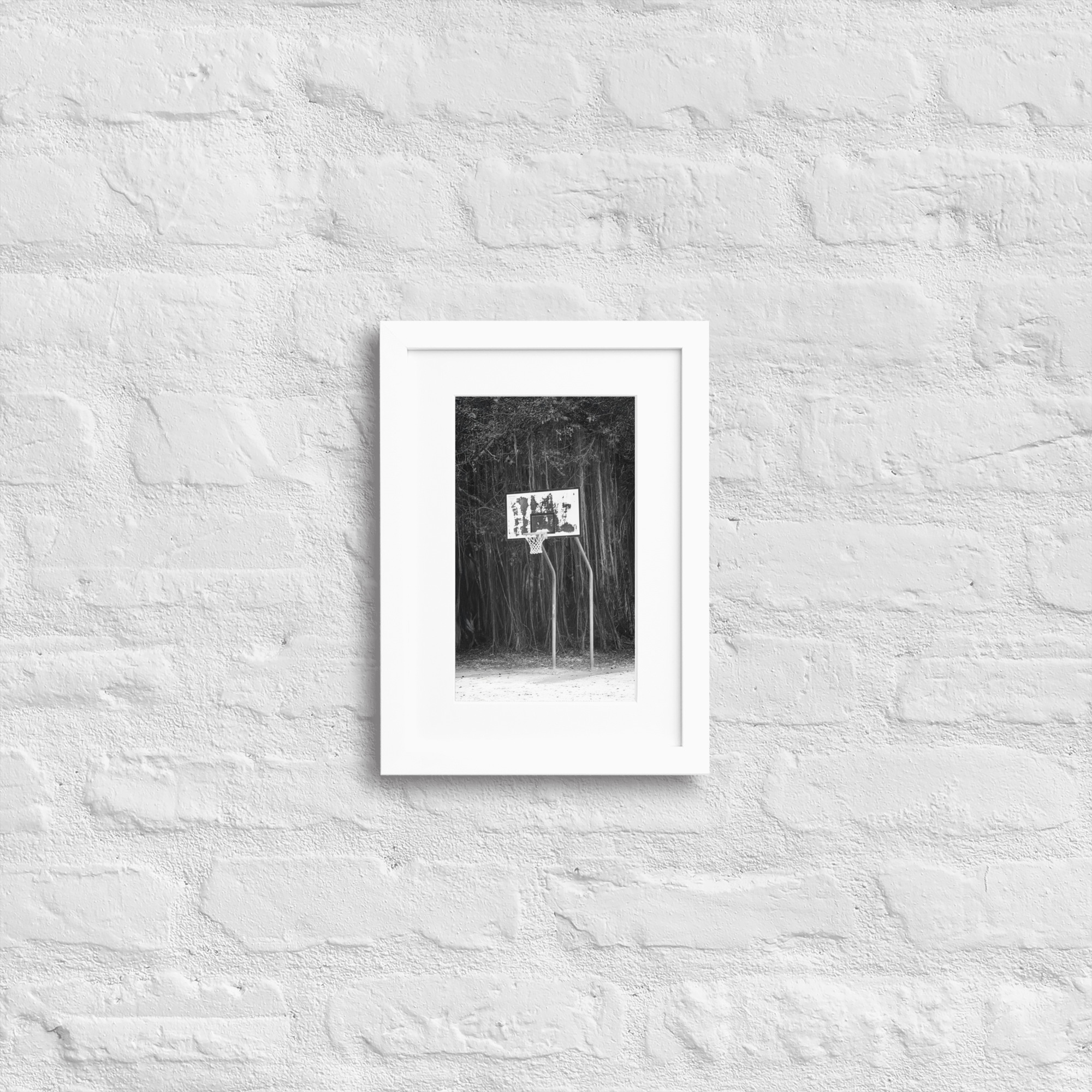 Rainforest Basketball - WhySoNegative - Image 5