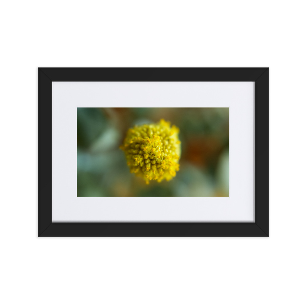 Billy Bob - Why So Negative - Image 2