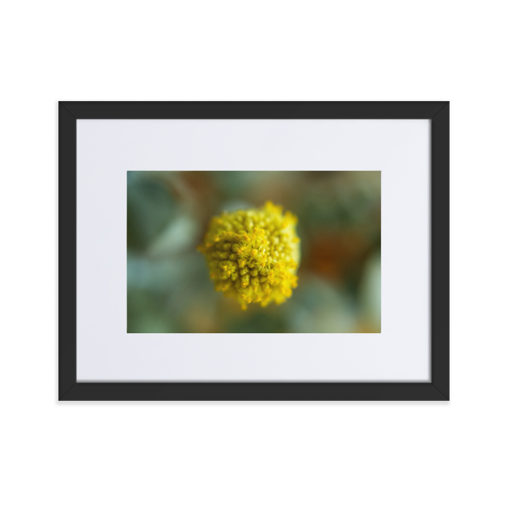 Billy Bob - Why So Negative - Image 3