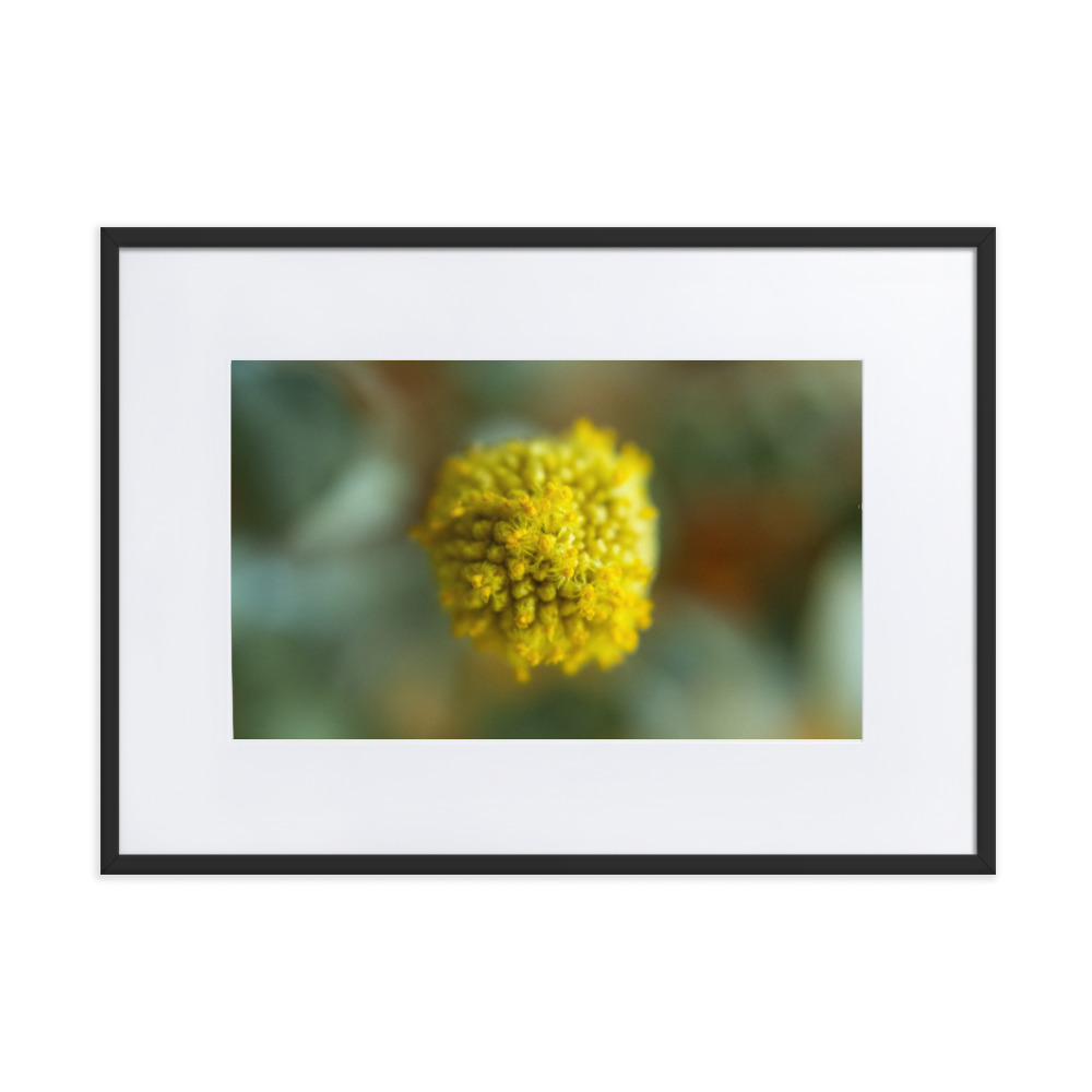 Billy Bob - Why So Negative - Image 4