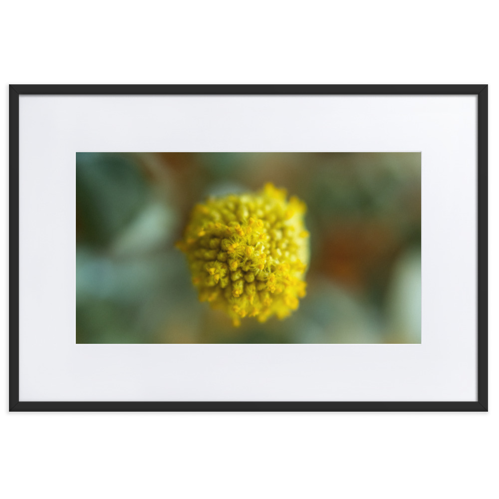 Billy Bob - Why So Negative - Image 5