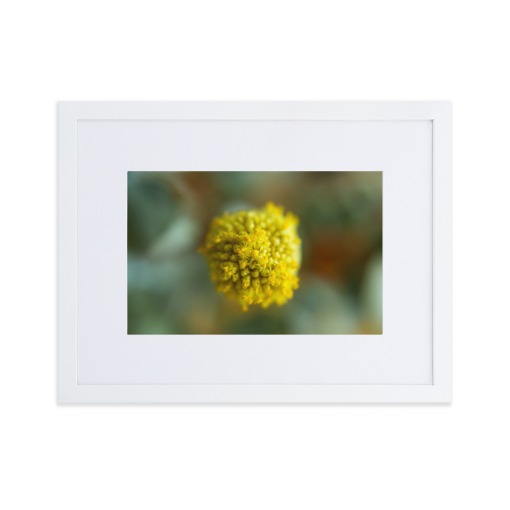 Billy Bob - Why So Negative - Image 6