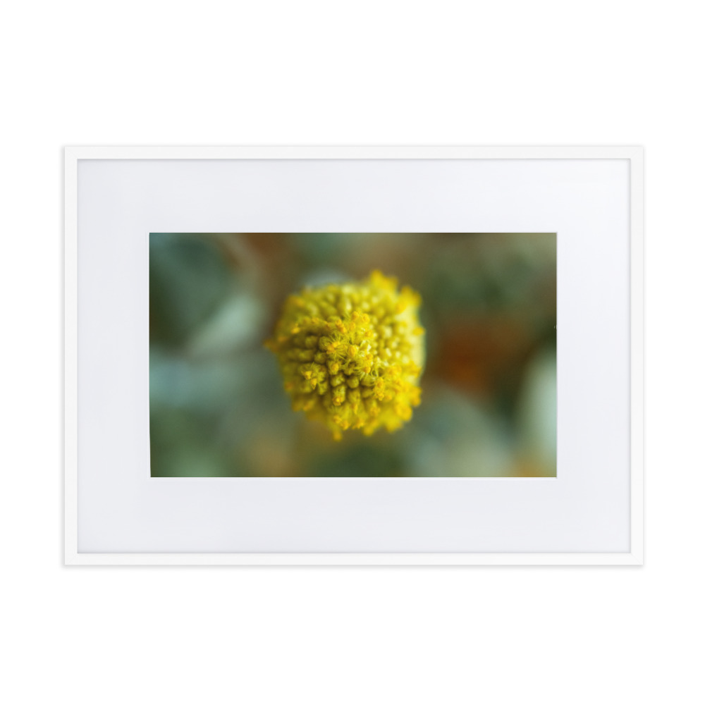 Billy Bob - Why So Negative - Image 7