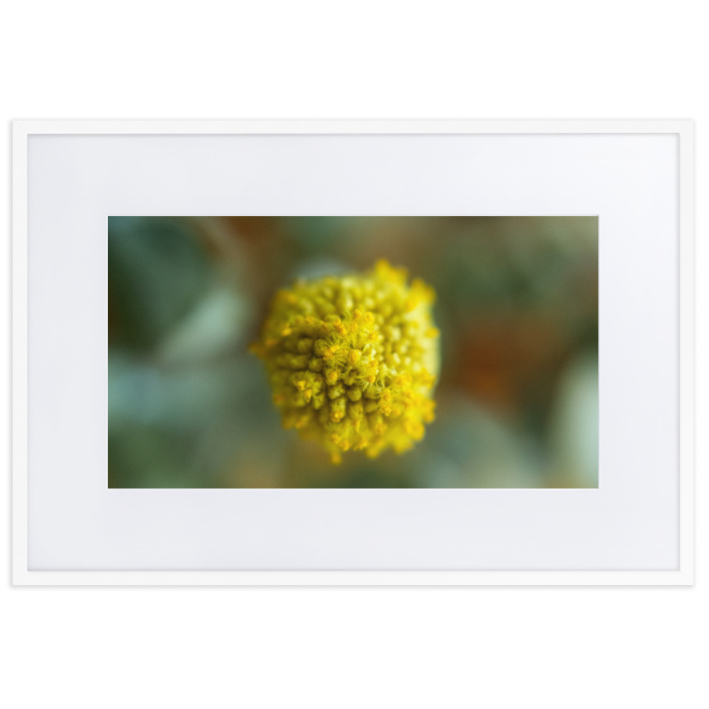 Billy Bob - Why So Negative - Image 8