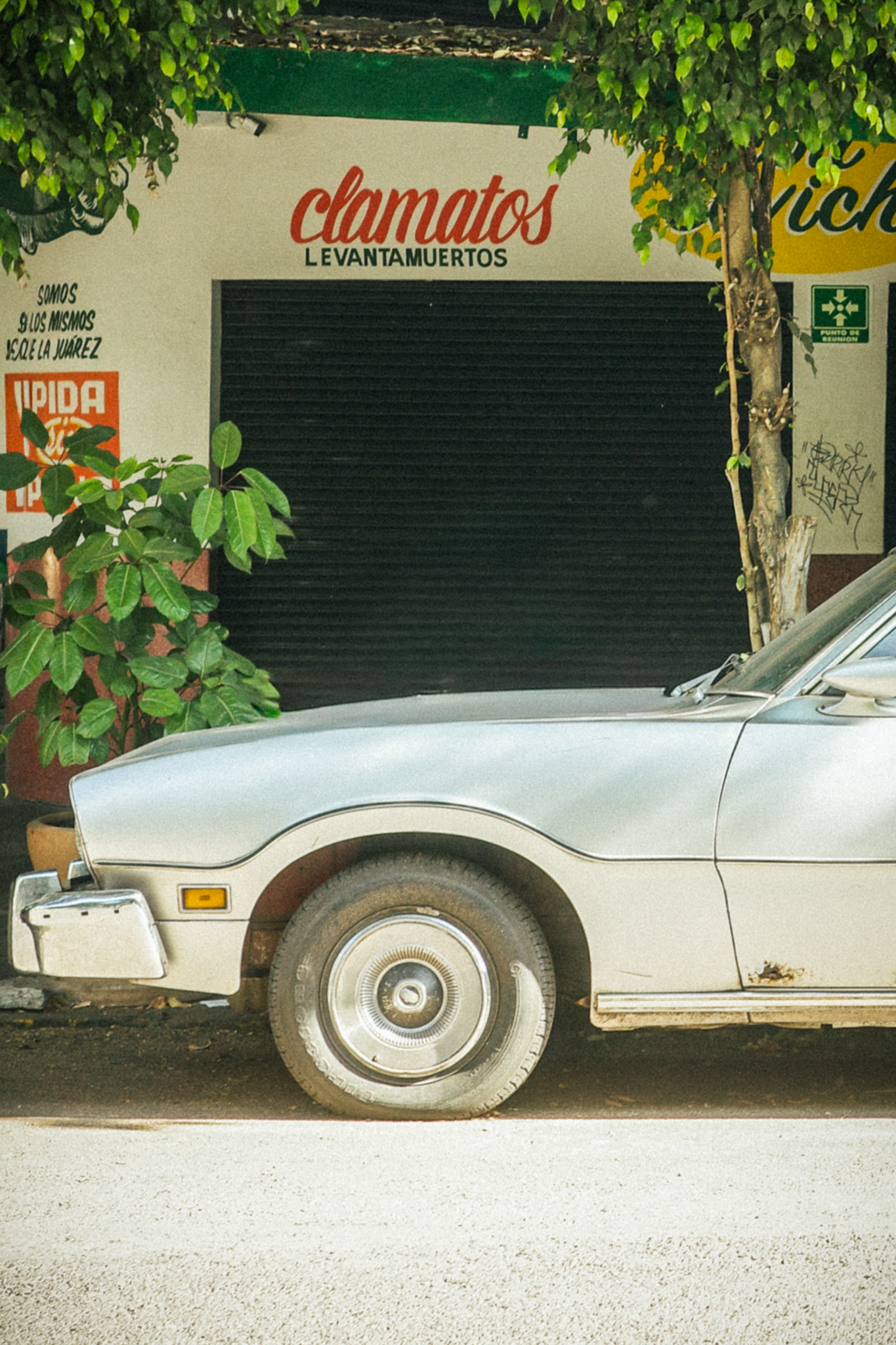 Vintage car parked outside a clamato bar in Condesa, Mexico City, photographed in soft cinematic light with analog film inspired tones.