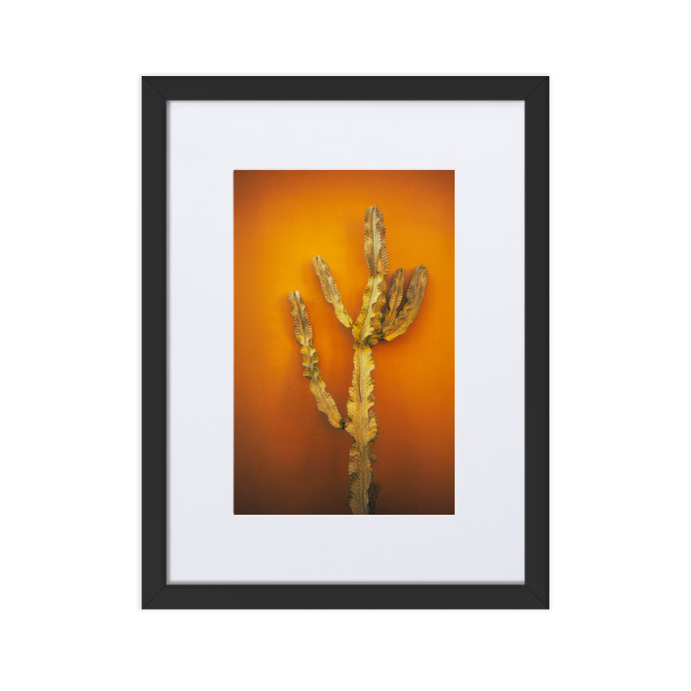 Oaxacan Heat - WhySoNegative - Image 3