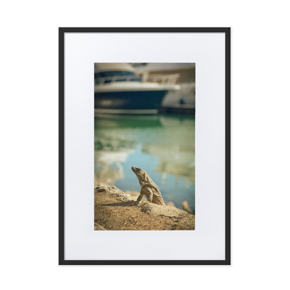 Harbour King - WhySoNegative - Image 3