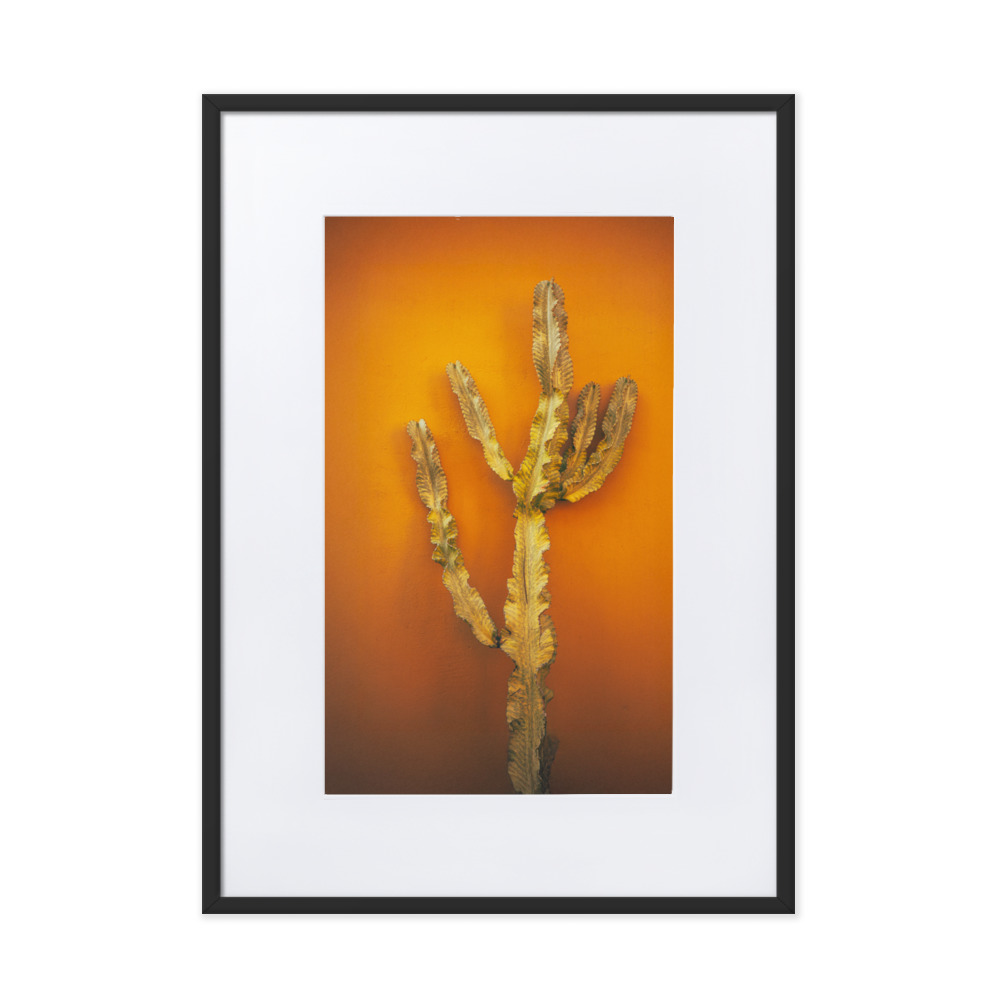 Oaxacan Heat - WhySoNegative - Image 4
