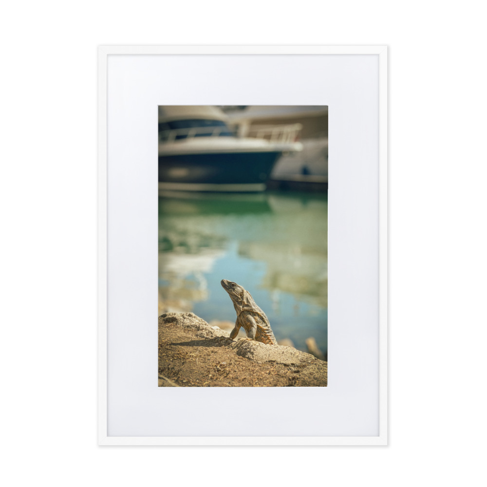 Harbour King - WhySoNegative - Image 7