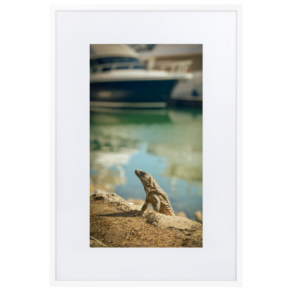 Harbour King - WhySoNegative - Image 8